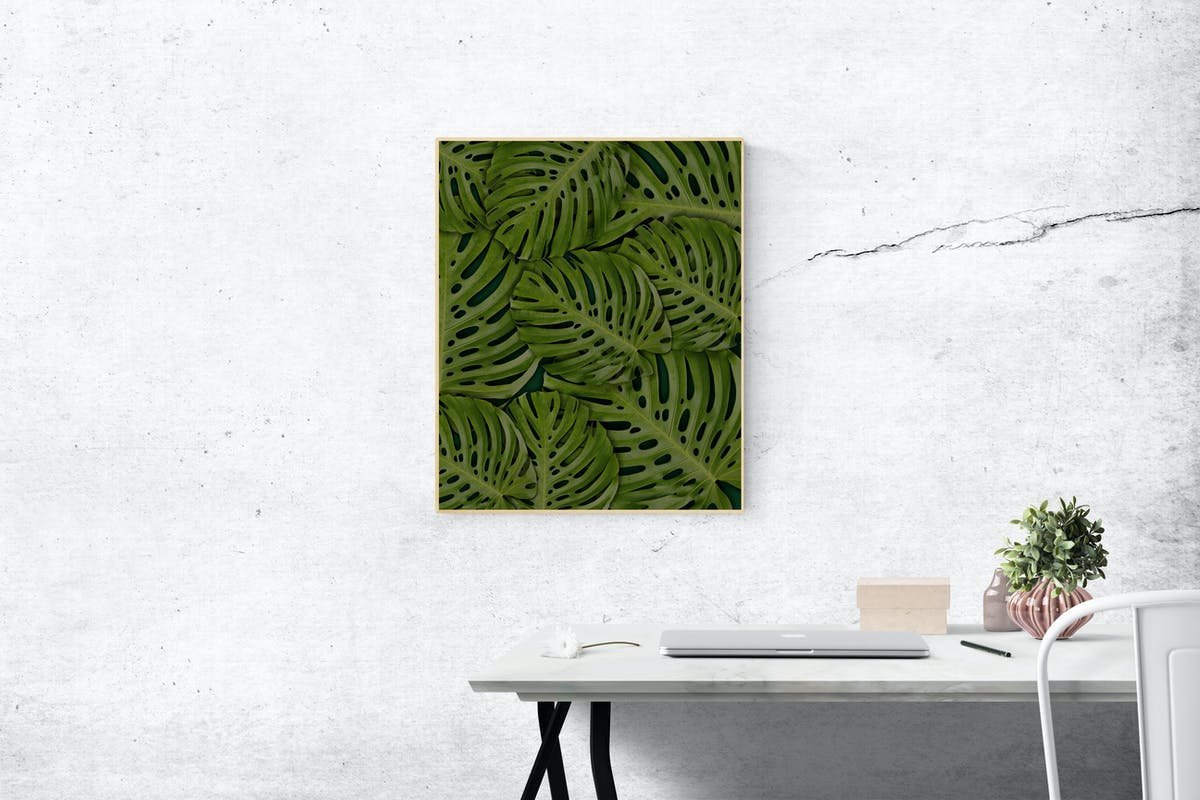 Windmill screen 2
