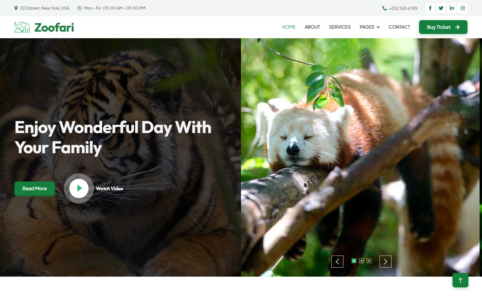 Zoofari - HTML Zoo and Wildlife Theme