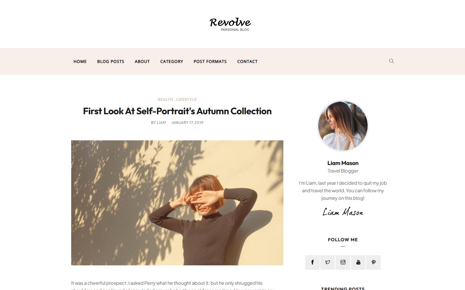 Revolve - HTML Corporate, SaaS & Agency Theme blog-single screen
