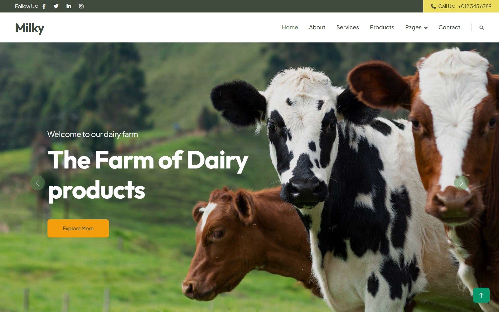 Dairy Website Template - HTML Agriculture & Organic Food Theme