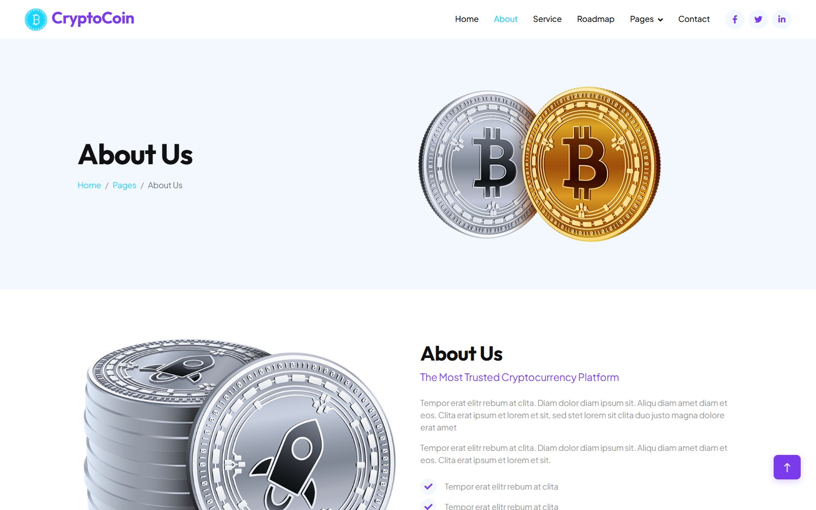 Cryptocoin - HTML Finance, Crypto & Banking Theme about screen
